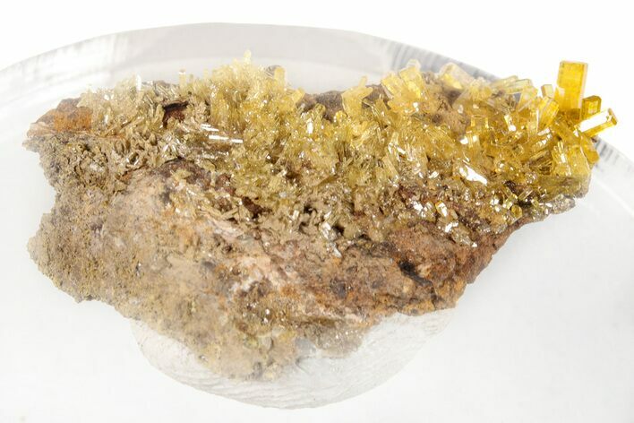 Golden Translucent Mimetite Crystal Cluster - Thailand #266343